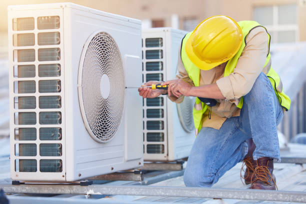 Best Heating Repair Services  in Johnston City, IL
